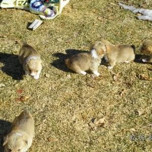 Meet your Posher, Susan